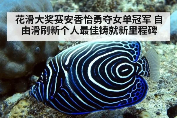 花滑大奖赛安香怡勇夺女单冠军 自由滑刷新个人最佳铸就新里程碑