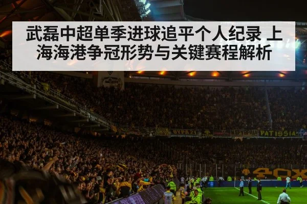 soccer stadium crowd night