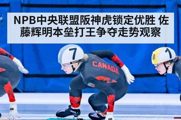 NPB中央联盟阪神虎锁定优胜 佐藤辉明本垒打王争夺走势观察